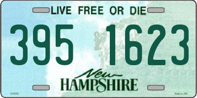 NH license plate 3951623