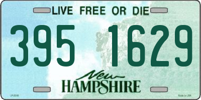 NH license plate 3951629