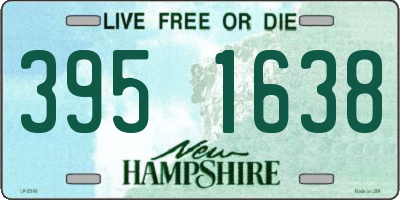NH license plate 3951638