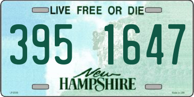 NH license plate 3951647