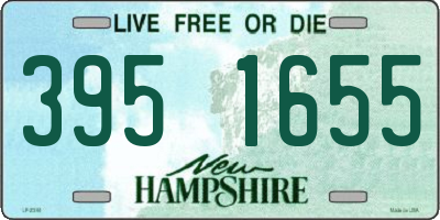 NH license plate 3951655