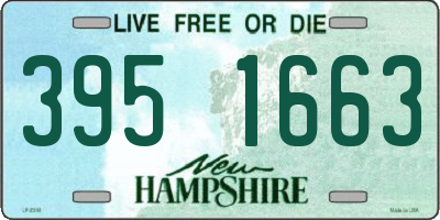 NH license plate 3951663