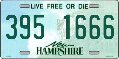 NH license plate 3951666