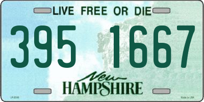 NH license plate 3951667