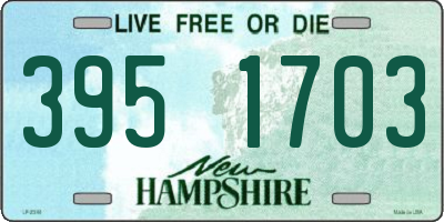 NH license plate 3951703