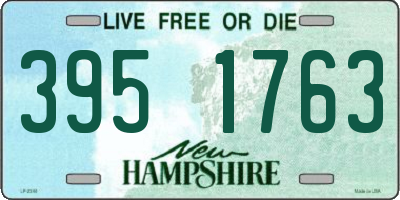 NH license plate 3951763