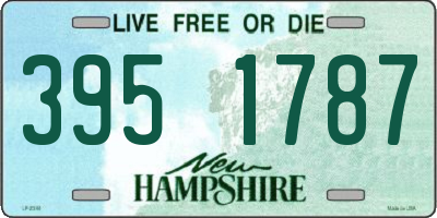 NH license plate 3951787