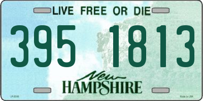 NH license plate 3951813