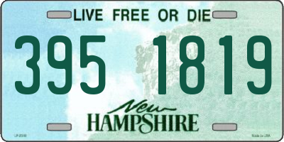 NH license plate 3951819