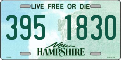 NH license plate 3951830