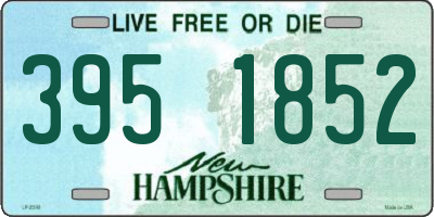 NH license plate 3951852