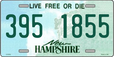 NH license plate 3951855