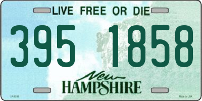 NH license plate 3951858