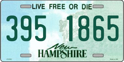 NH license plate 3951865