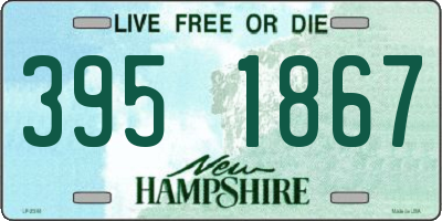 NH license plate 3951867