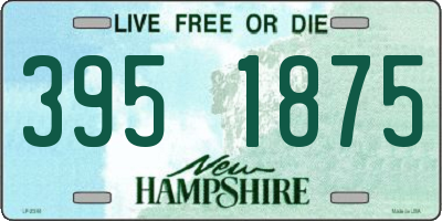 NH license plate 3951875