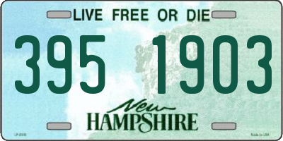 NH license plate 3951903