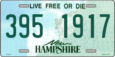 NH license plate 3951917