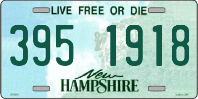 NH license plate 3951918