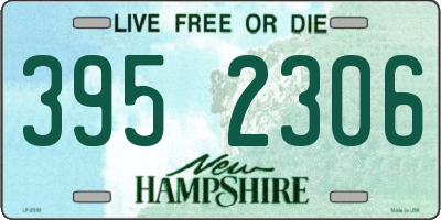 NH license plate 3952306