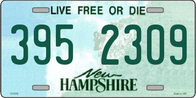 NH license plate 3952309