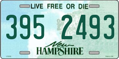 NH license plate 3952493