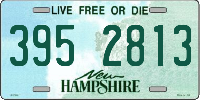 NH license plate 3952813