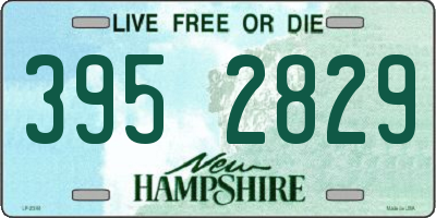 NH license plate 3952829