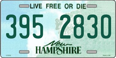NH license plate 3952830