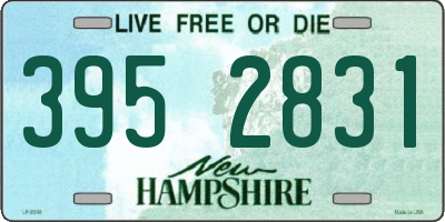 NH license plate 3952831
