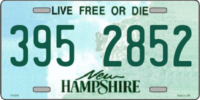 NH license plate 3952852