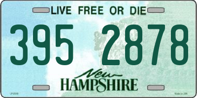 NH license plate 3952878