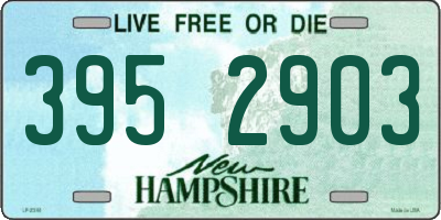 NH license plate 3952903
