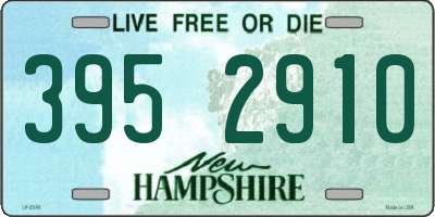 NH license plate 3952910