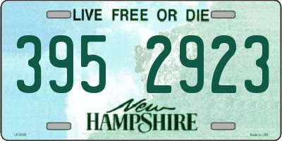NH license plate 3952923