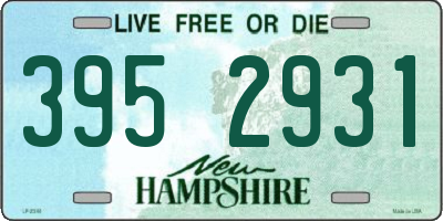 NH license plate 3952931
