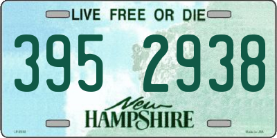 NH license plate 3952938