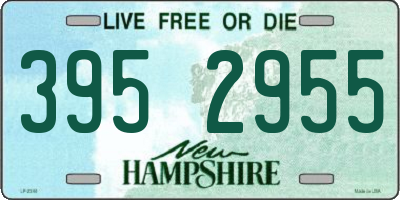 NH license plate 3952955