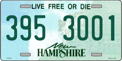 NH license plate 3953001