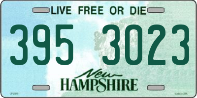 NH license plate 3953023