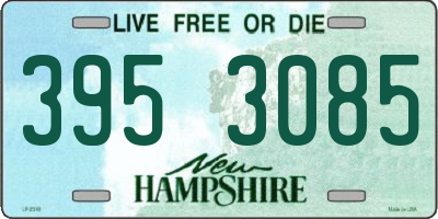 NH license plate 3953085