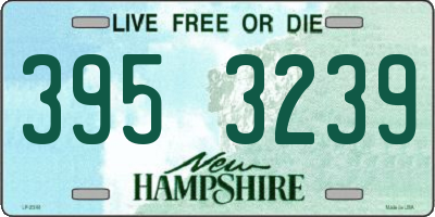 NH license plate 3953239