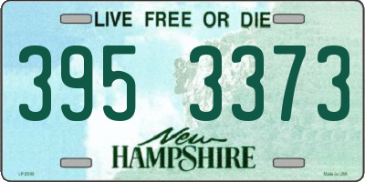 NH license plate 3953373