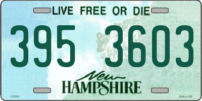 NH license plate 3953603