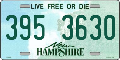 NH license plate 3953630