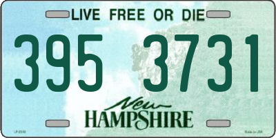 NH license plate 3953731