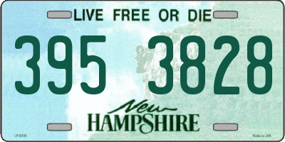 NH license plate 3953828