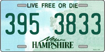 NH license plate 3953833