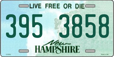NH license plate 3953858