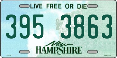 NH license plate 3953863